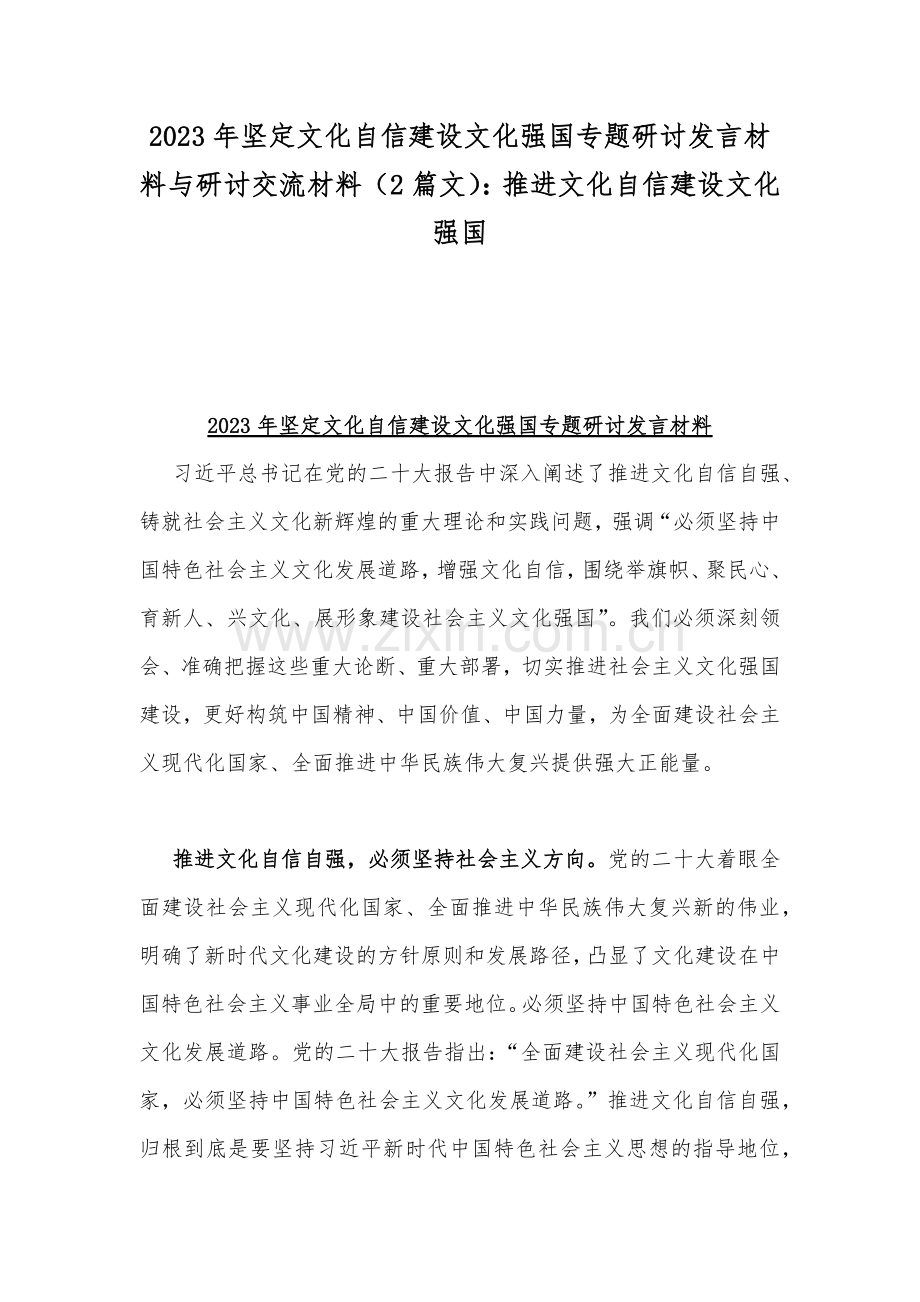 2023年坚定文化自信建设文化强国专题研讨发言材料与研讨交流材料（2篇文）：推进文化自信建设文化强国.docx_第1页