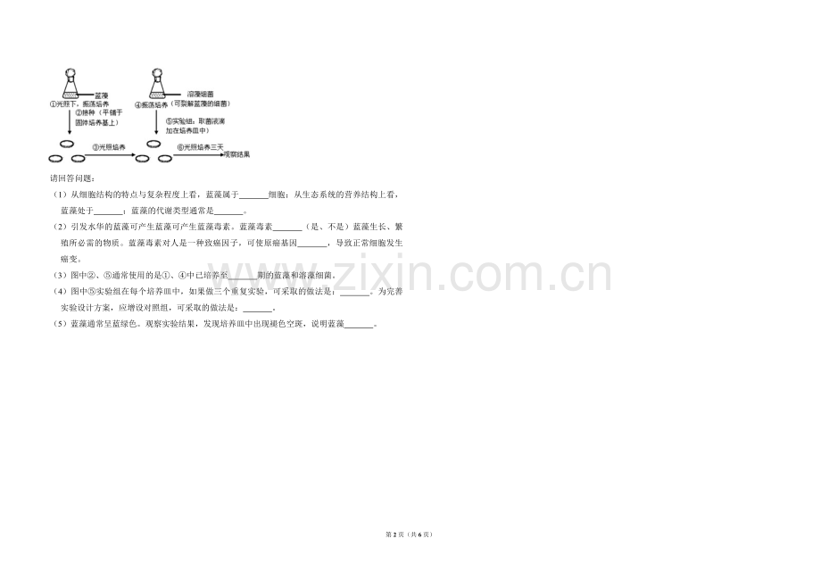 2008年北京市高考生物试卷（含解析版）.pdf_第2页