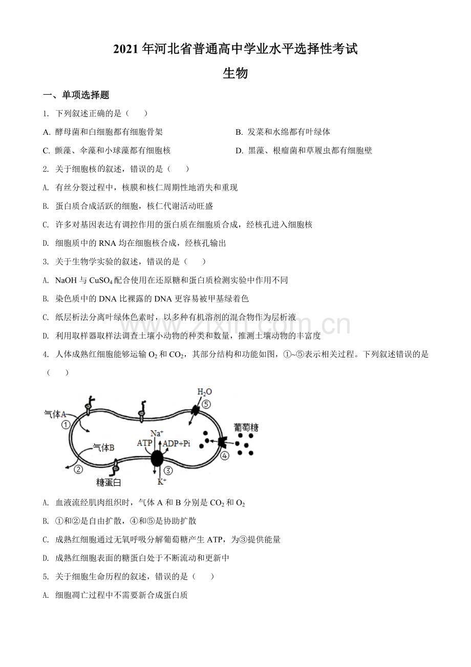 2021年河北高考生物试卷（新高考）（原卷版）.doc_第1页