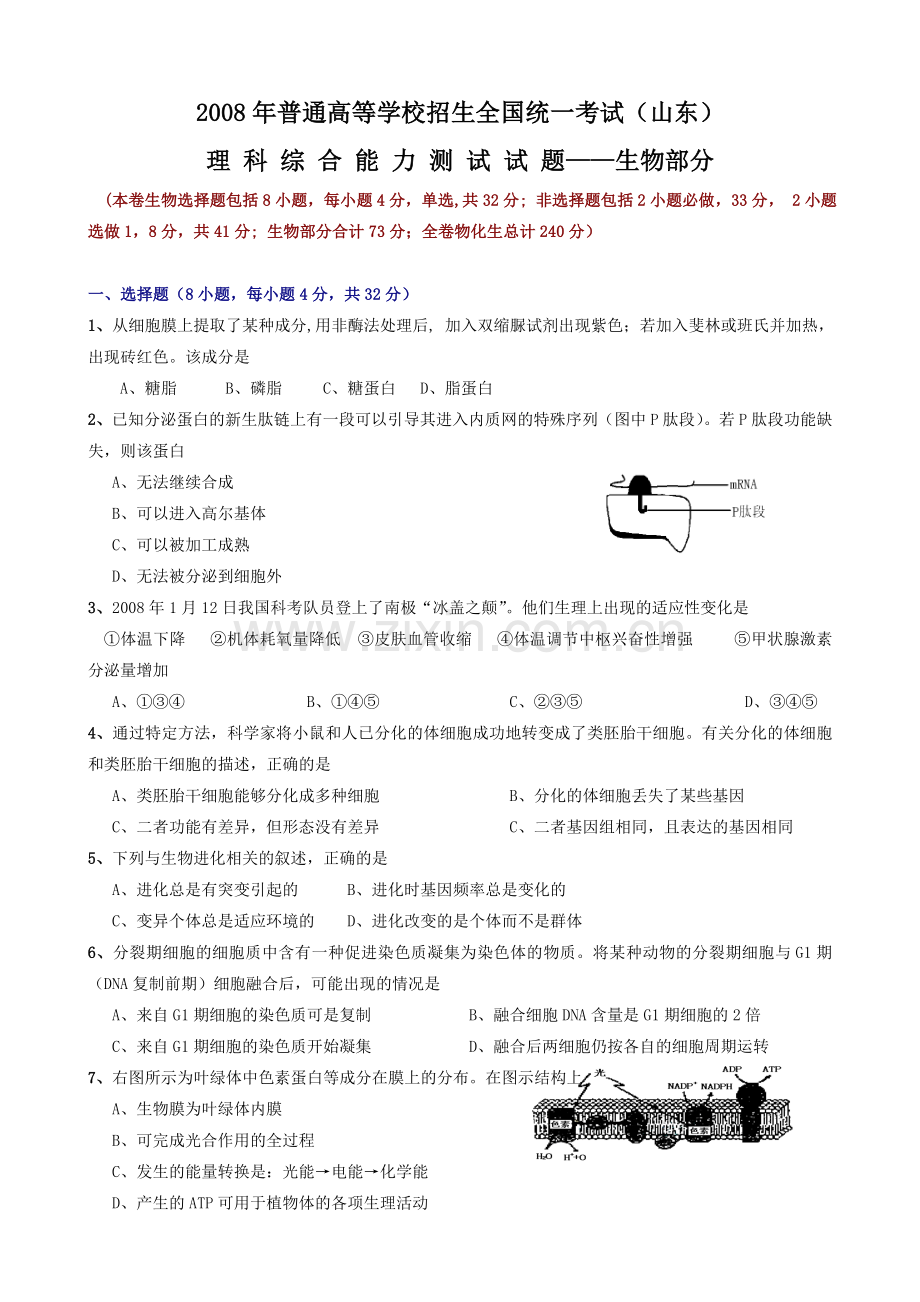 2008年高考真题 生物(山东卷)（含解析版）.doc_第1页