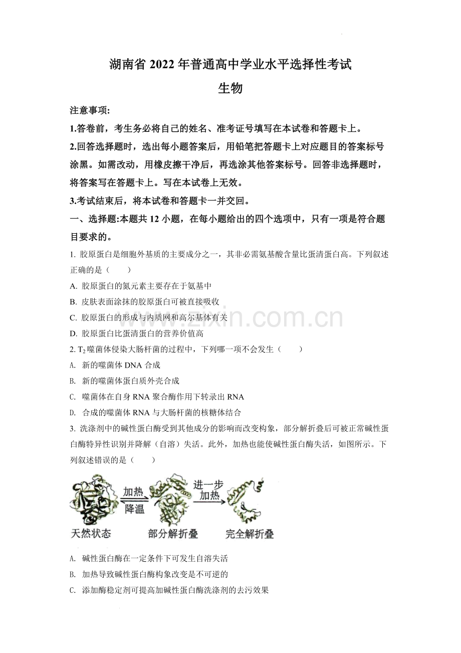 题目2022年新高考湖南生物高考真题（原卷版）.docx_第1页