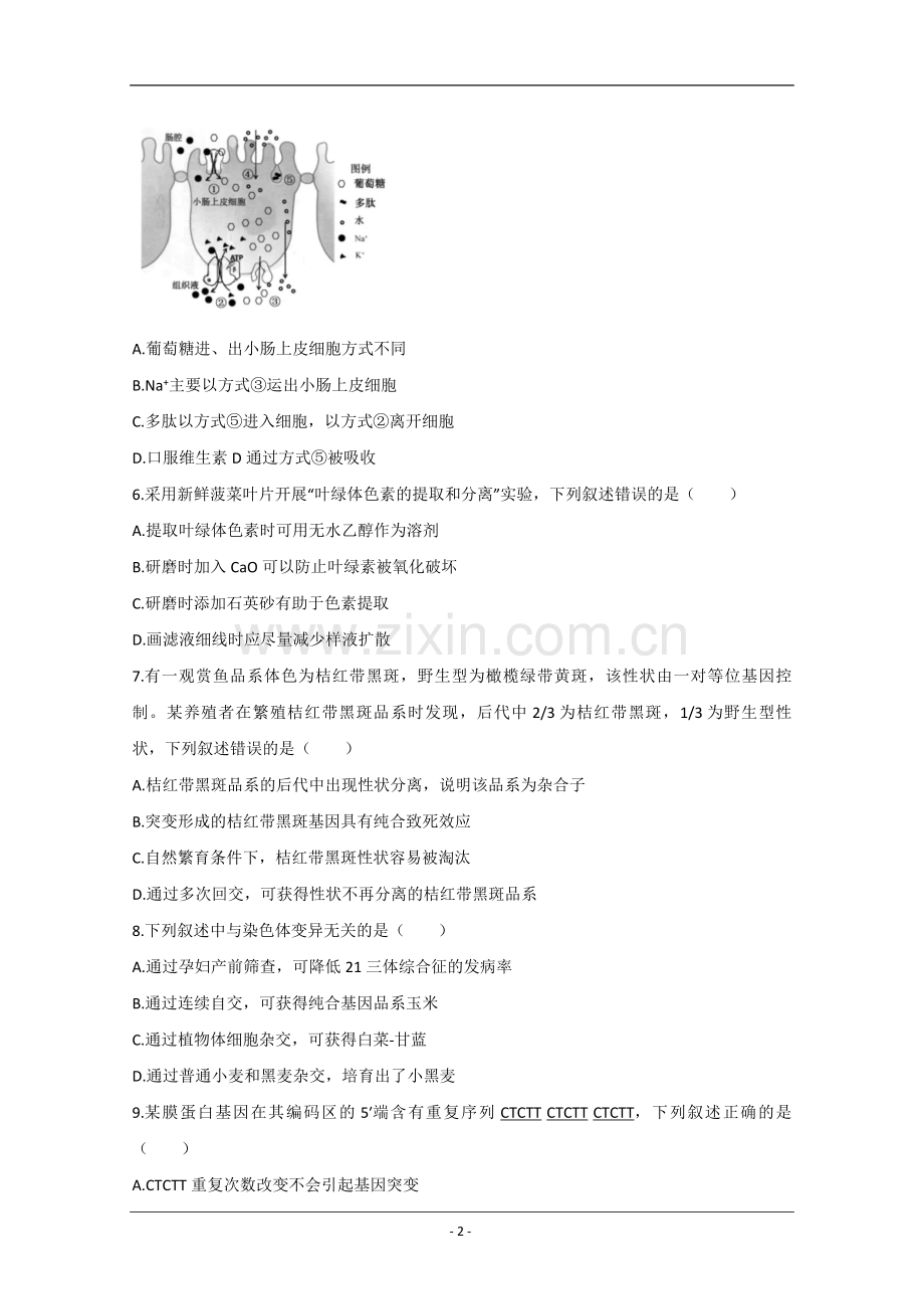 2020年江苏省高考生物试卷 .pdf_第2页
