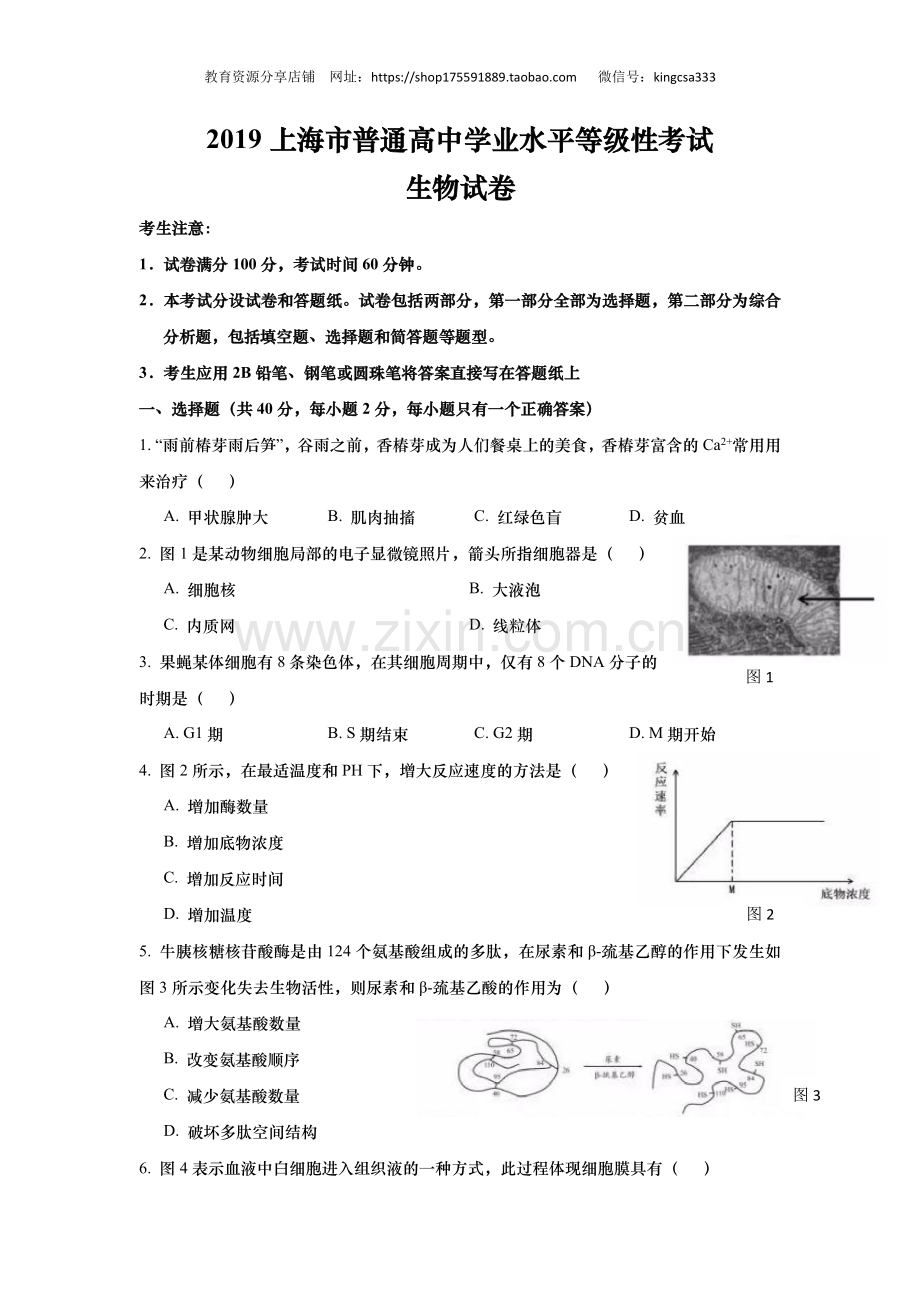2019年上海市高中毕业统一学业考试生物试卷（原卷版）.docx_第1页