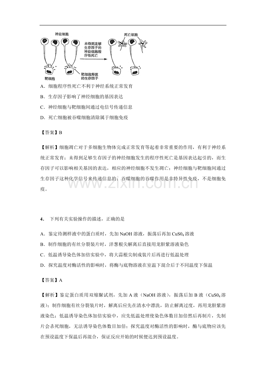 2014年高考真题 生物(山东卷)（含解析版）.pdf_第2页