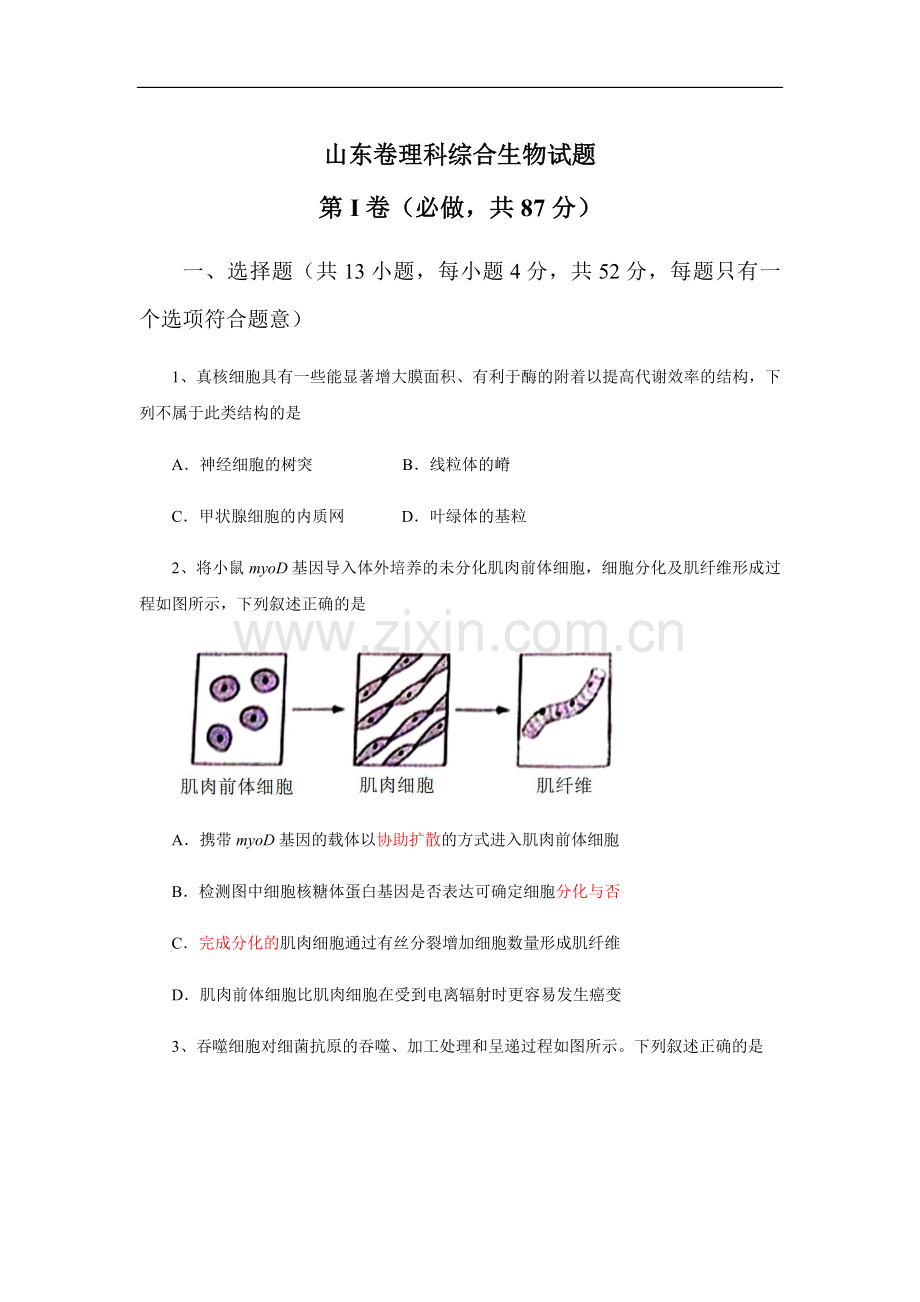 2013年高考真题 生物(山东卷)（原卷版）.pdf_第1页