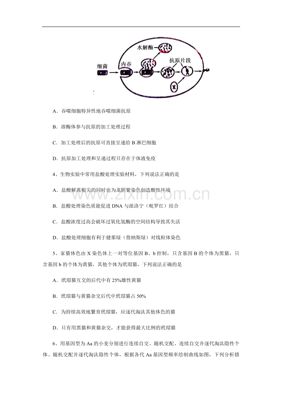 2013年高考真题 生物(山东卷)（原卷版）.pdf_第2页
