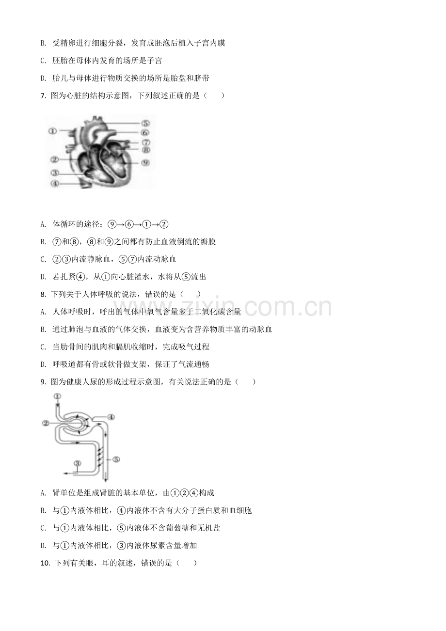 山东省聊城市2020年中考生物试题（原卷版）.doc_第2页