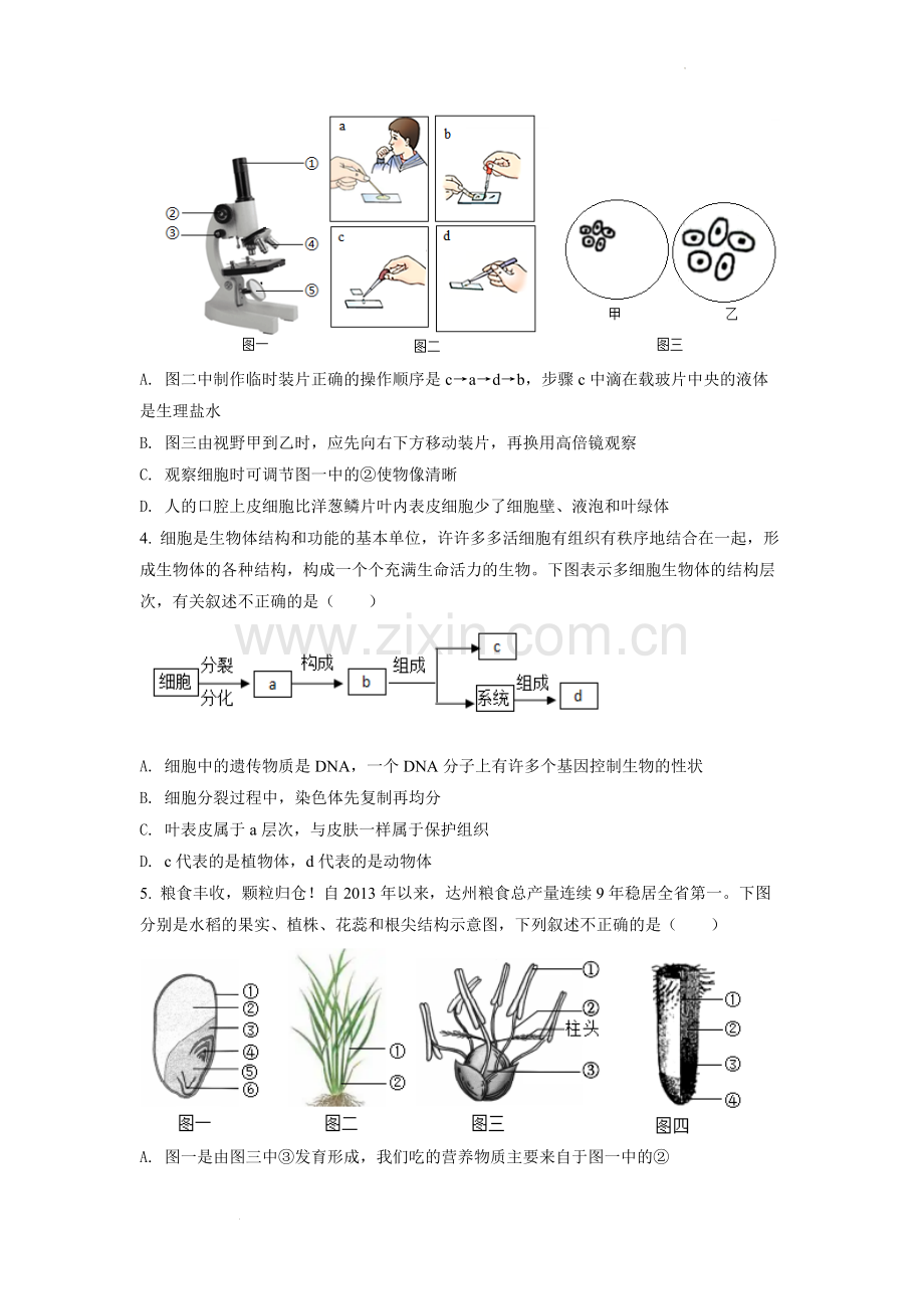 2022年四川省达州市中考生物真题（原卷版）.docx_第2页