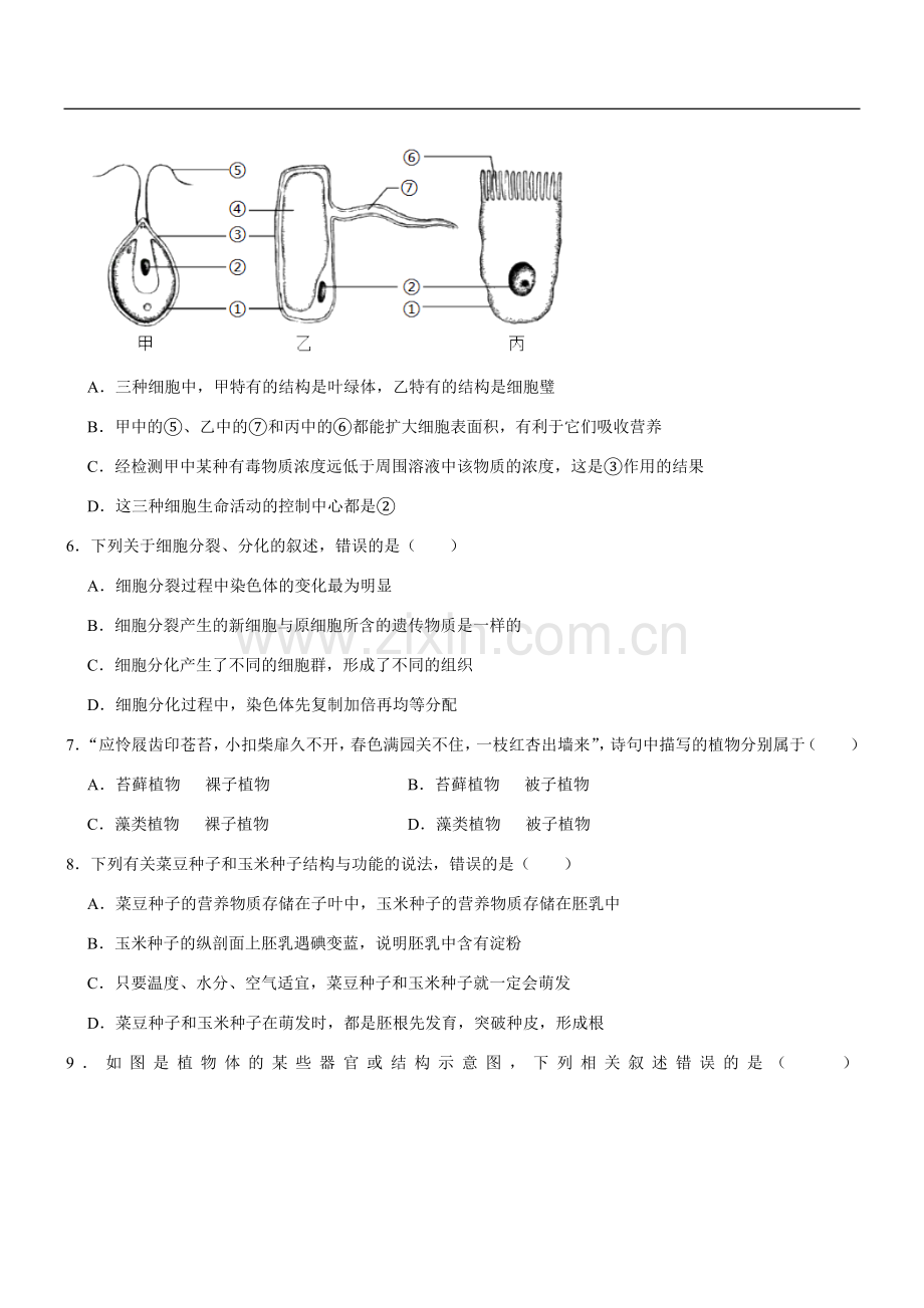 山东省临沂市2020年初中学业考试生物试题.doc_第2页