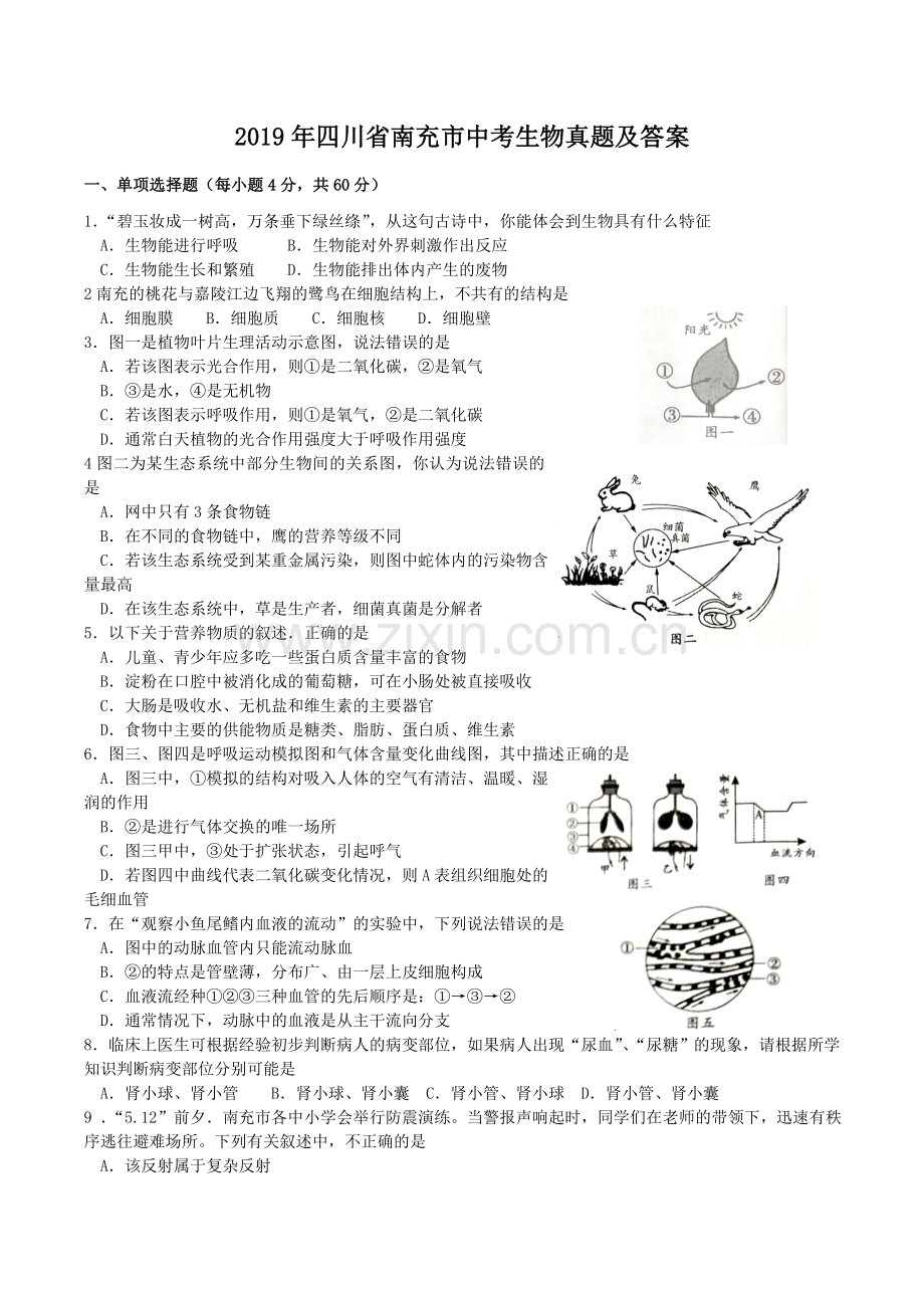 2019年四川省南充市中考生物真题及答案.doc_第1页