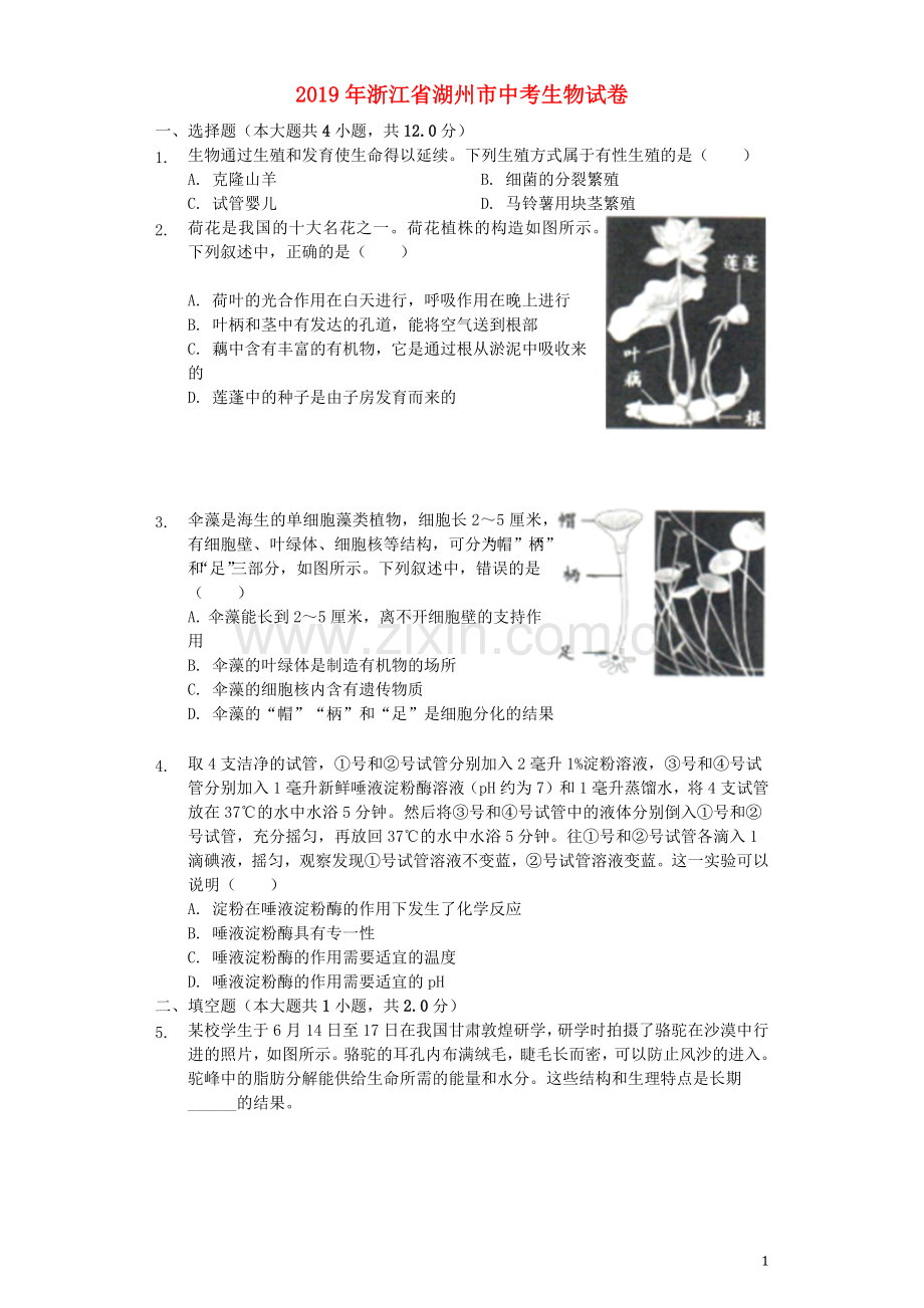 浙江省湖州市2019年中考生物真题试题（含解析）.docx_第1页