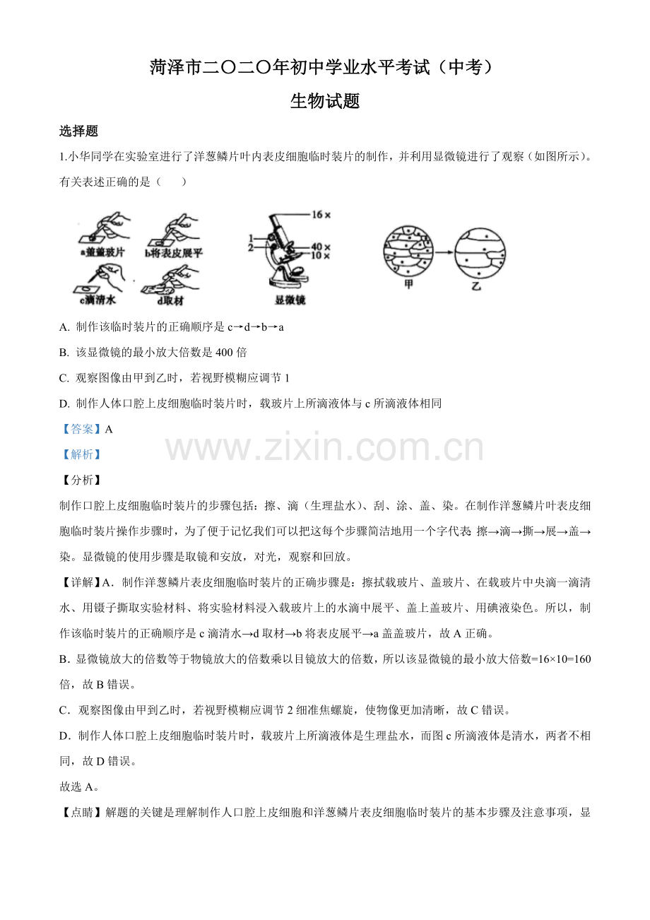 2020年解析.doc_第1页