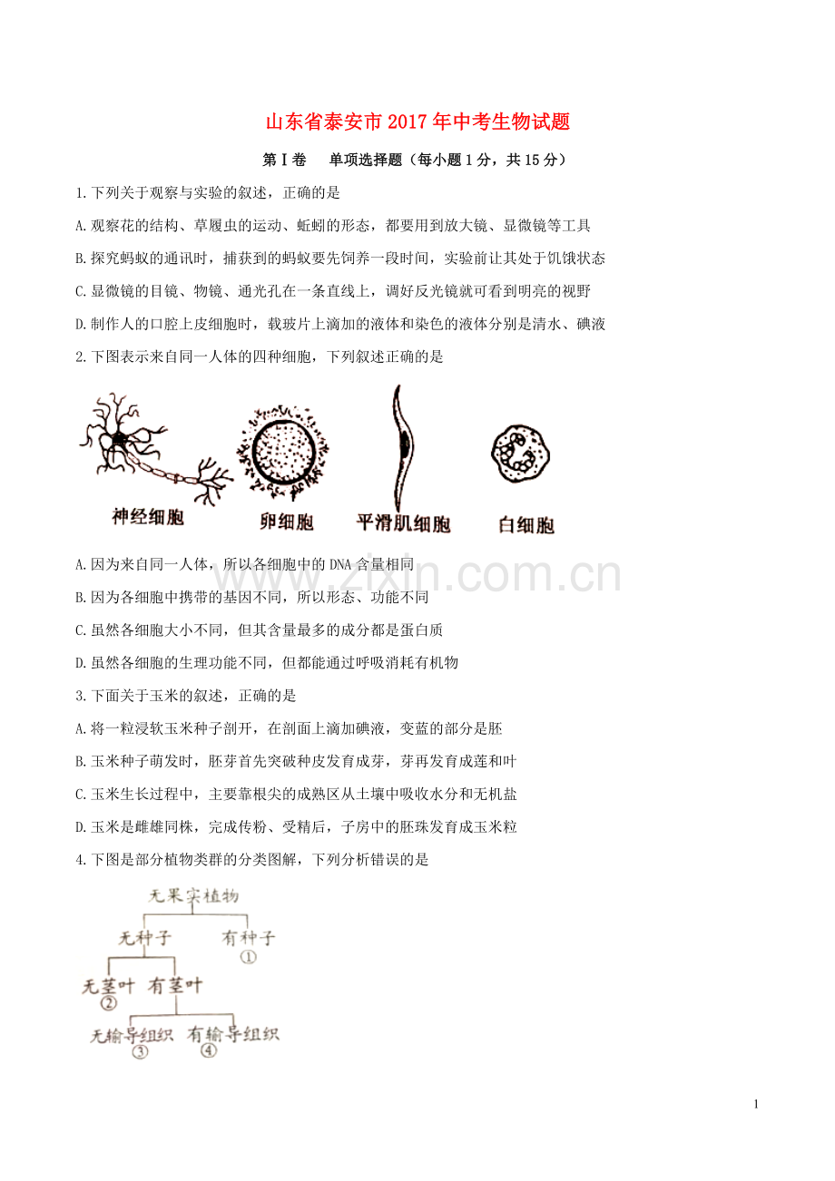 山东省泰安市2017年中考生物真题试题（含答案）.doc_第1页