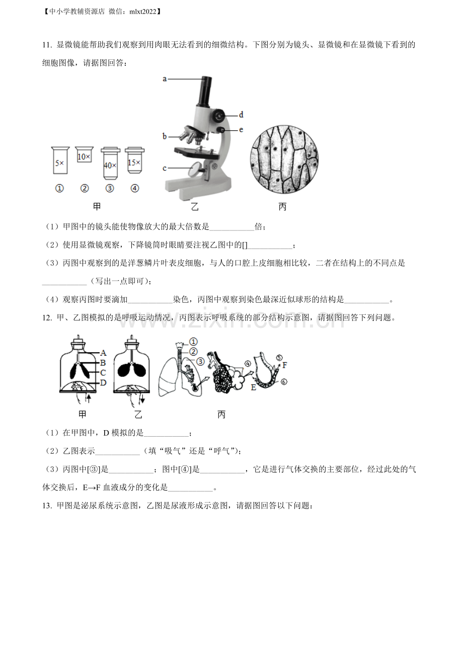 2022年辽宁省本溪市中考生物真题（原卷版）.docx_第2页