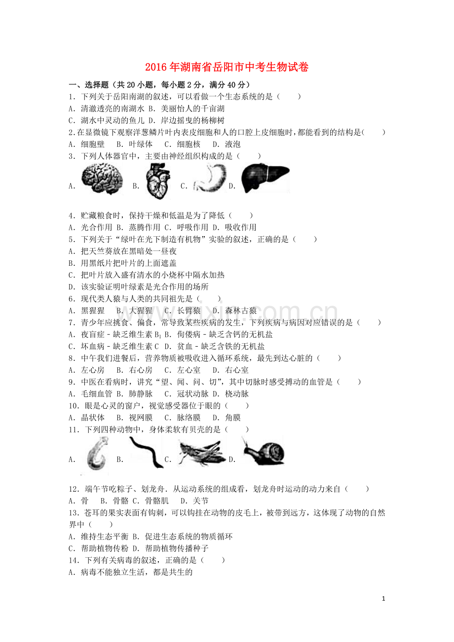 湖南省岳阳市2016年中考生物真题试题（含解析）.doc_第1页