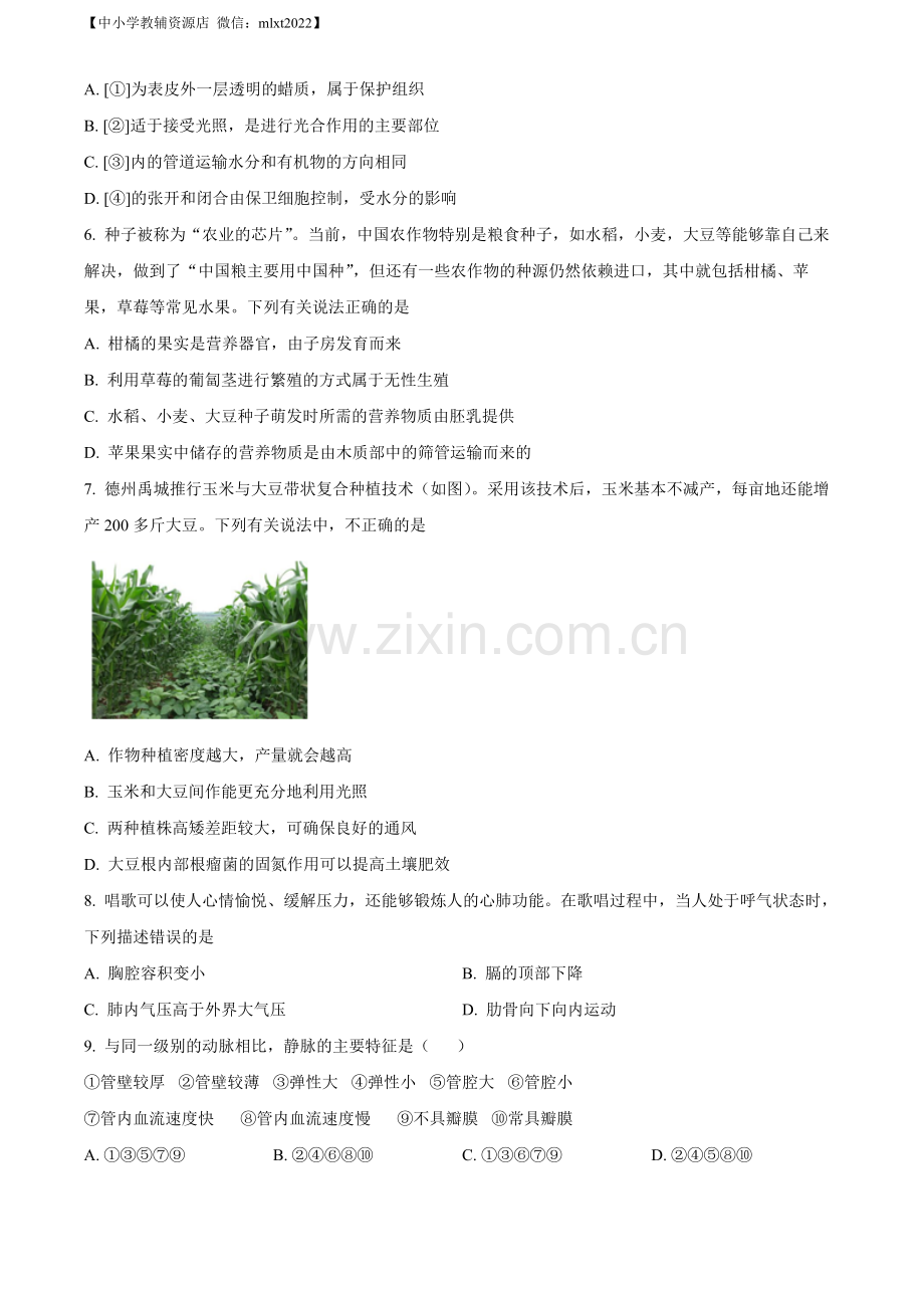 2022年山东省德州市中考生物真题（原卷版）.docx_第2页