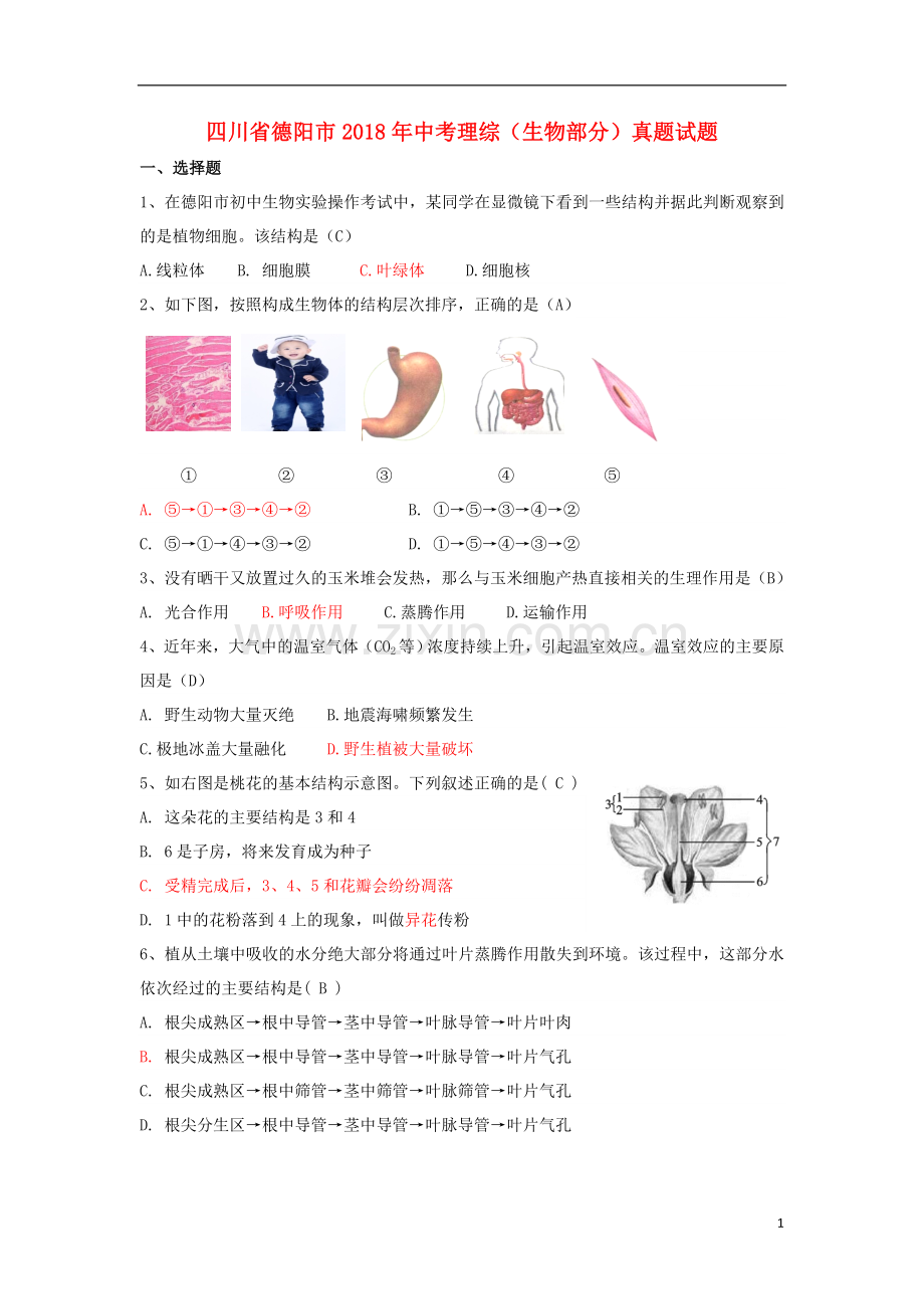 四川省德阳市2018年中考理综（生物部分）真题试题（含答案）.doc_第1页
