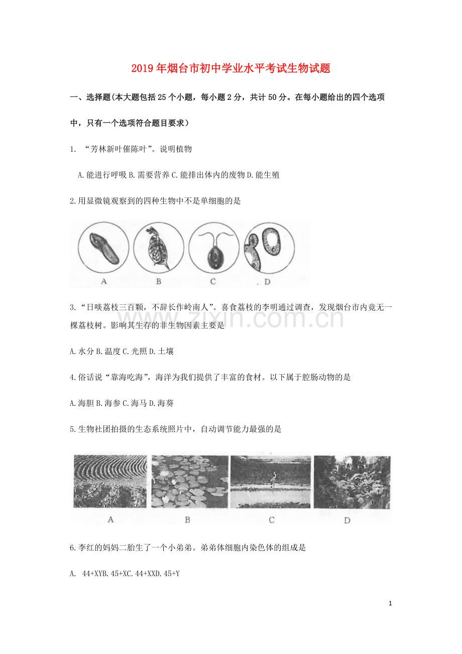 山东省烟台市2019年中考生物真题试题.docx_第1页