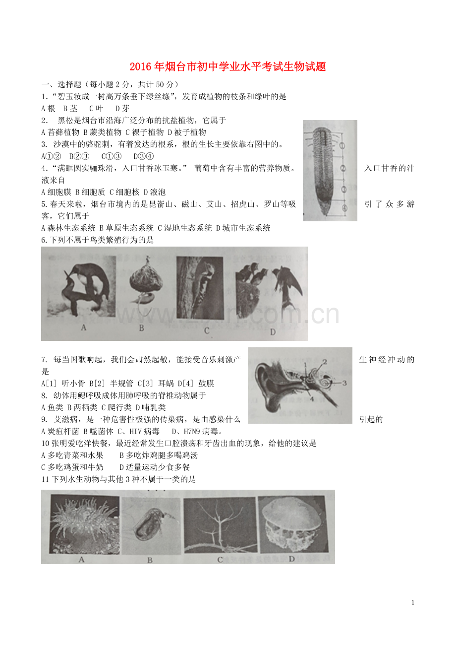 山东省烟台市2016年中考生物真题试题（含答案）.doc_第1页