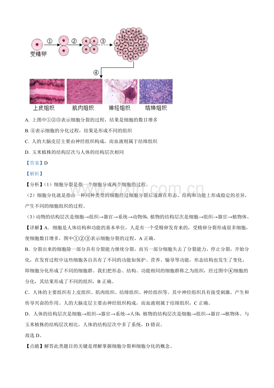 湖北省荆门市2021年中考生物试题（解析版）.doc_第2页