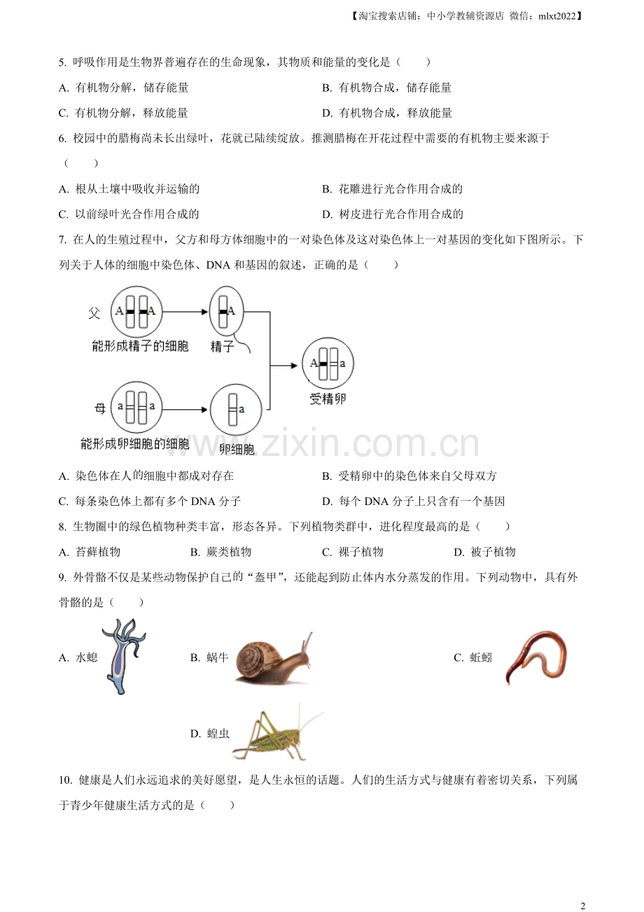 2023年安徽省中考生物真题（原卷版）.docx_第2页