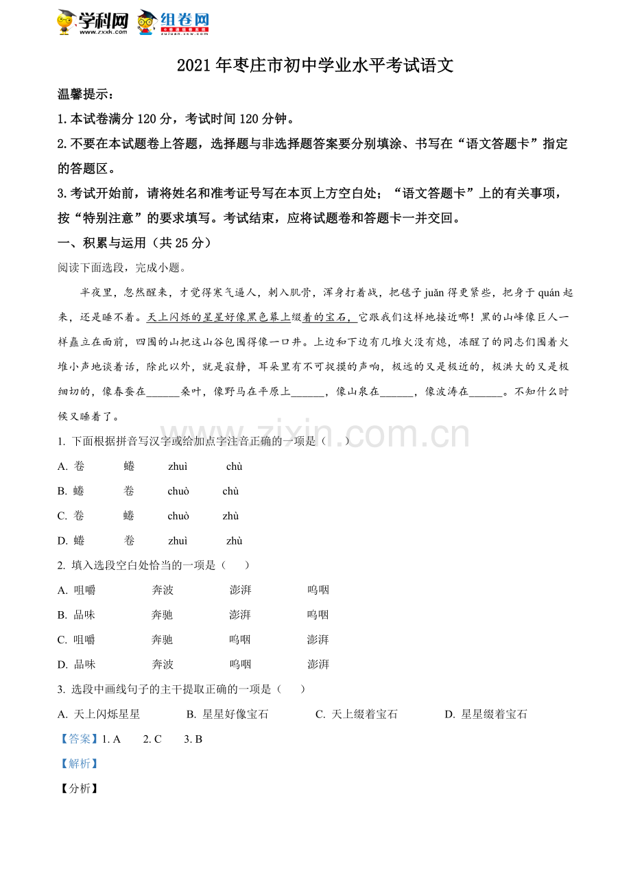 山东省枣庄市2021年中考语文试题（解析版）.doc_第1页