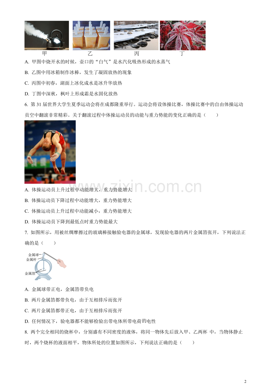 2023年四川省德阳市中考理综物理试题（原卷版）.docx_第2页