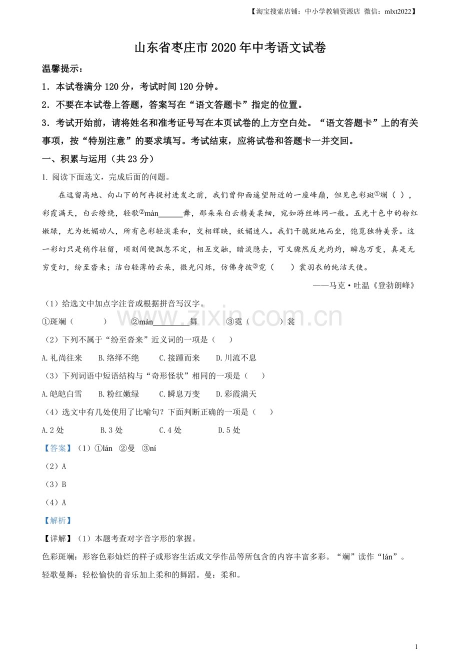 山东省枣庄市2020年中考语文试题（解析版）.doc_第1页