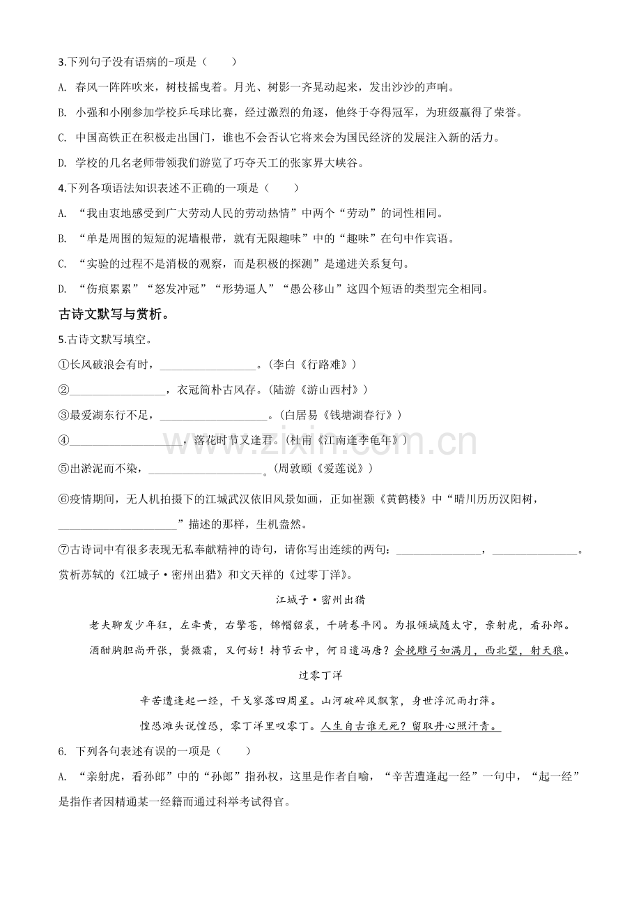 黑龙江省绥化市2020年中考语文试题（原卷版）.doc_第2页