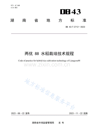DB 43T 2712—2023两优88 水稻栽培技术规程.docx