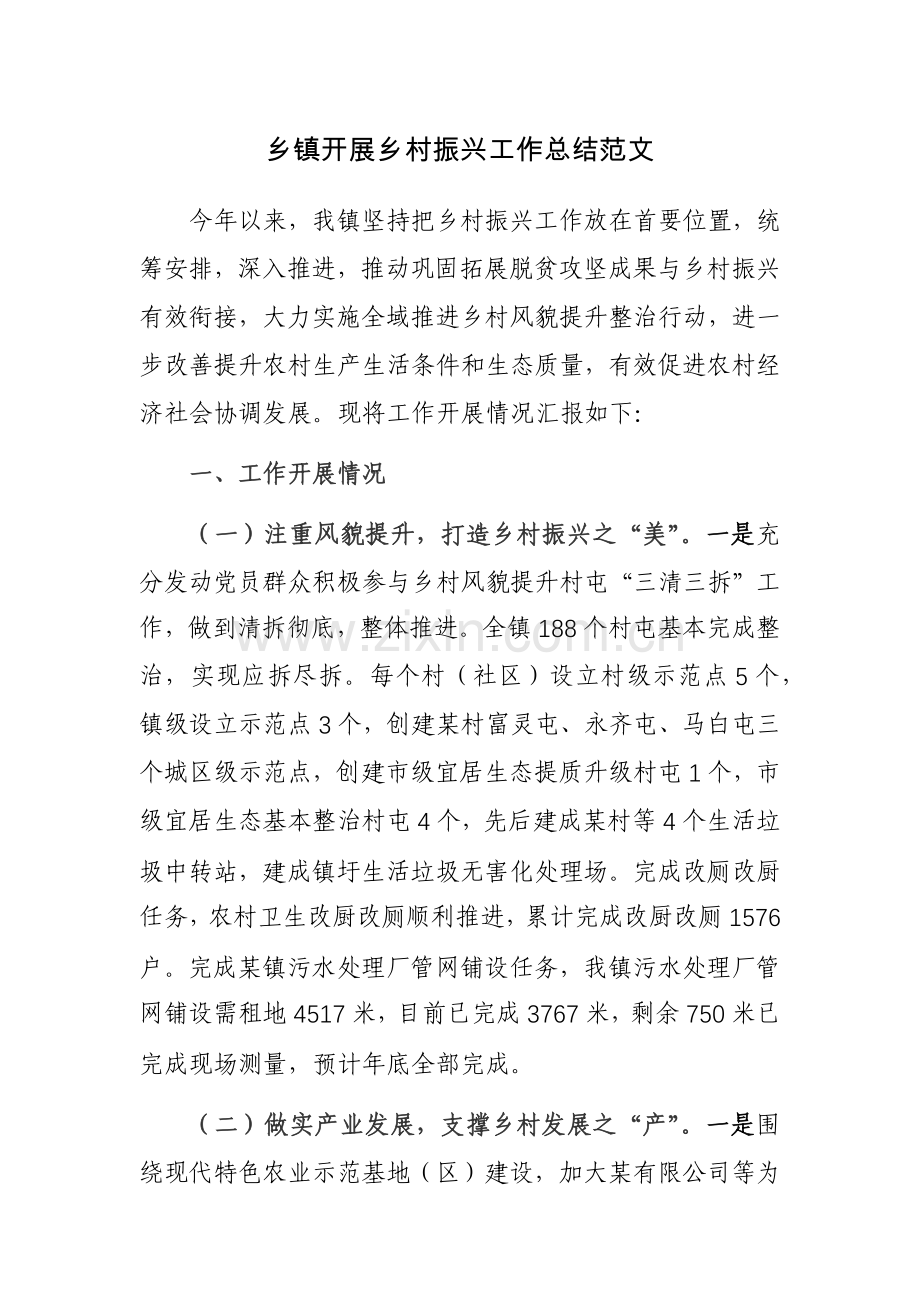 乡镇开展乡村振兴工作总结范文.docx_第1页