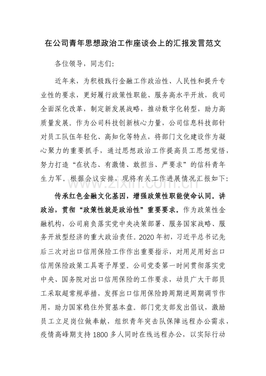 在公司青年思想政治工作座谈会上的汇报发言范文.docx_第1页