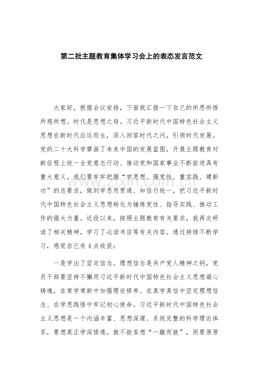 第二批主题教育集体学习会上的表态发言范文.docx_第1页