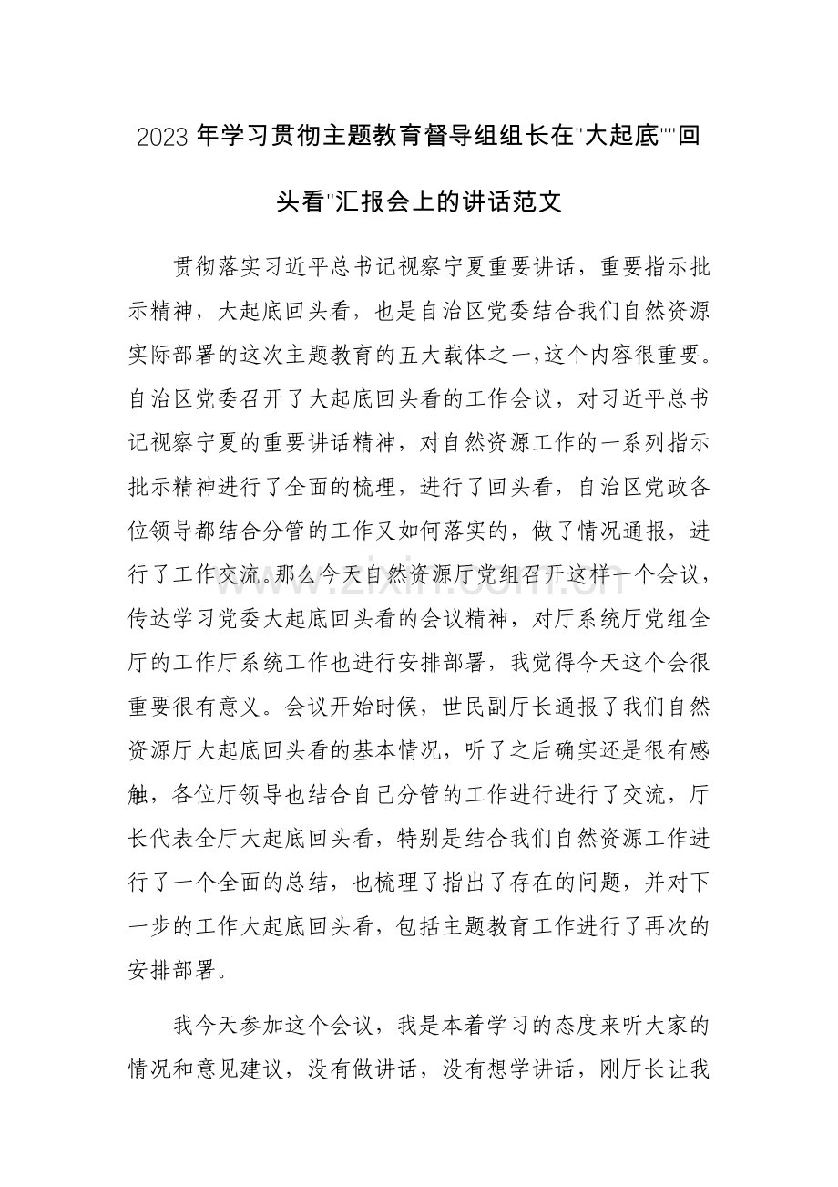 2023年学习贯彻主题教育督导组组长在“大起底”“回头看”汇报会上的讲话范文.docx_第1页