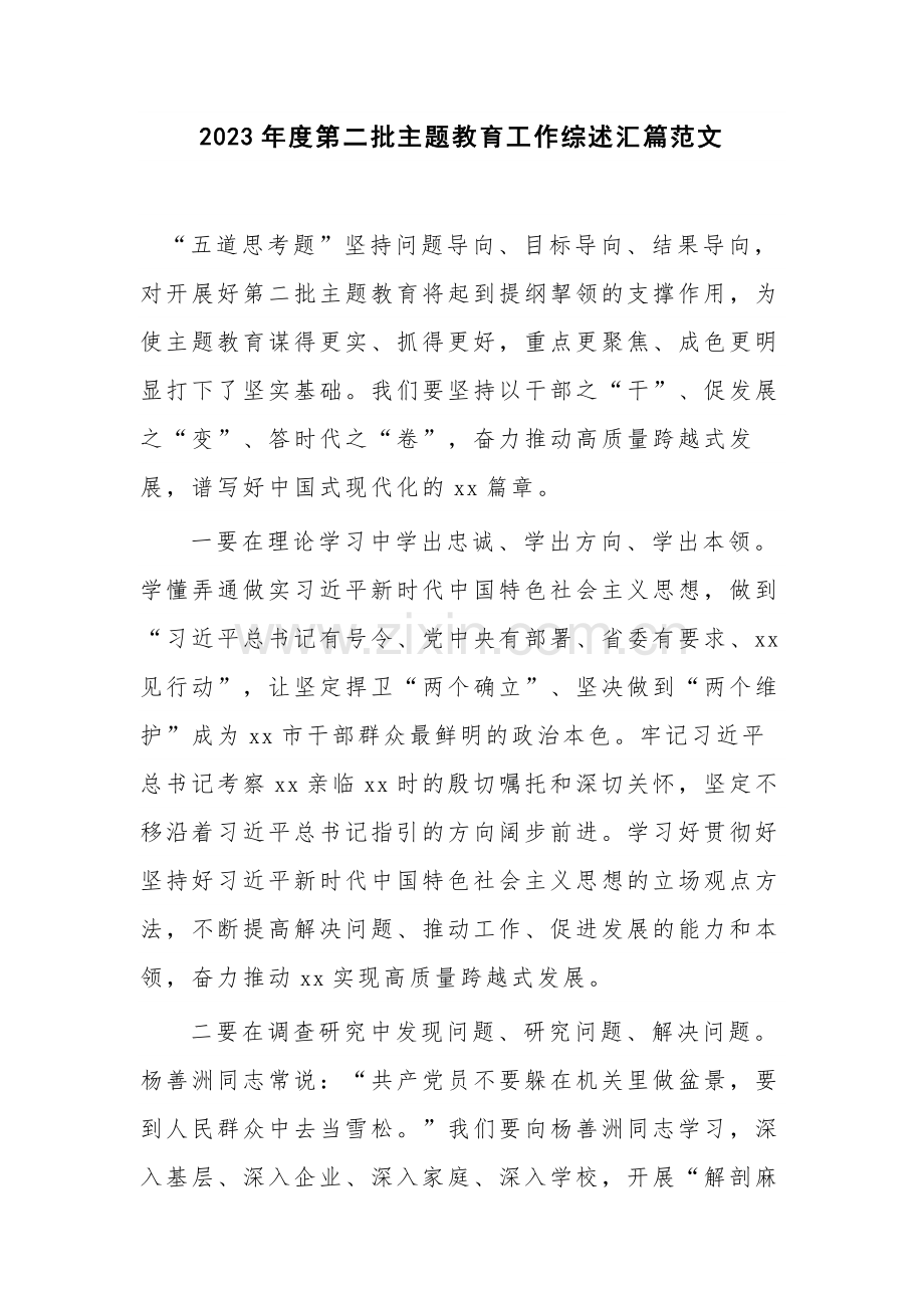2023年度第二批主题教育工作综述汇篇范文.docx_第1页