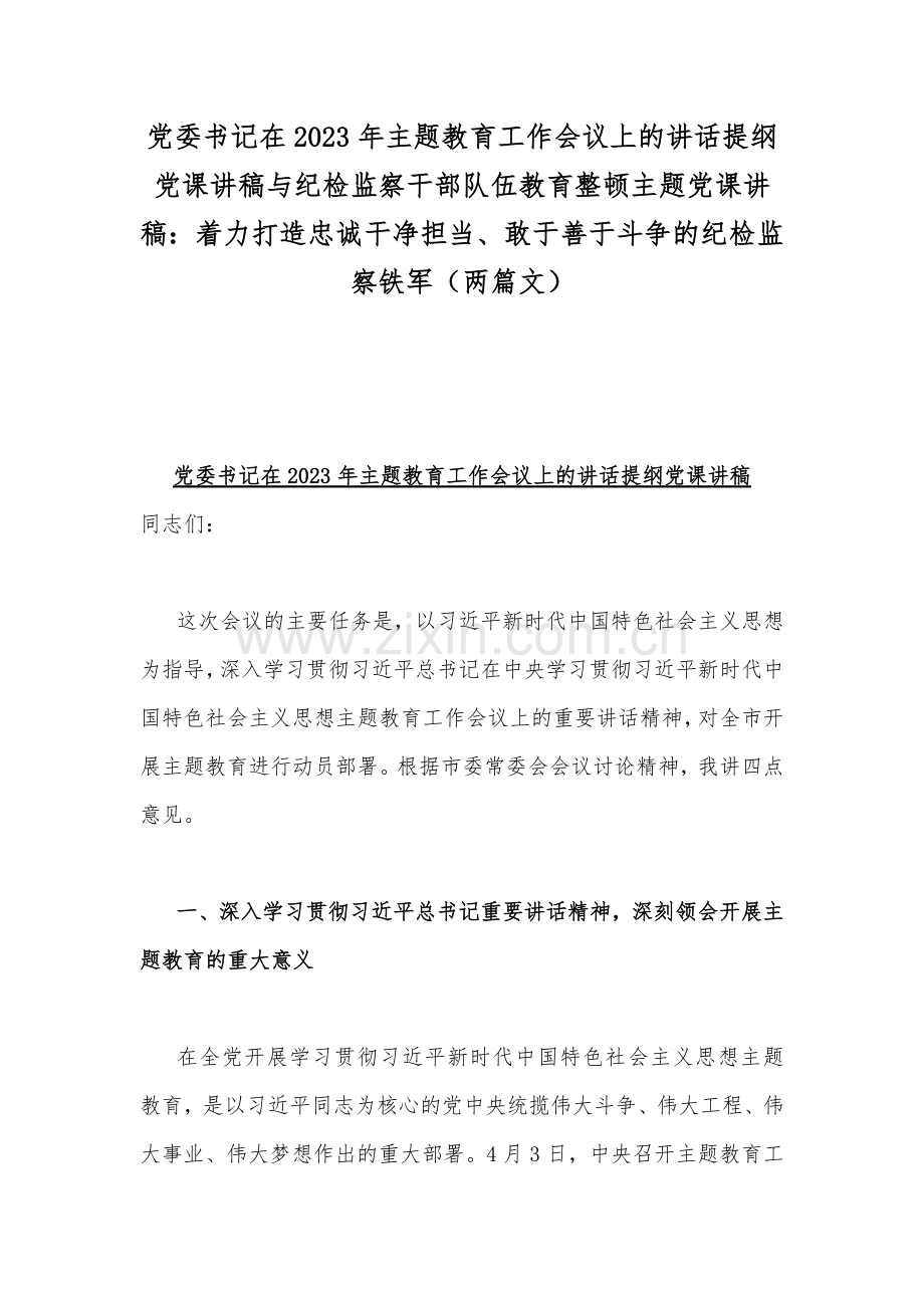 党委书记在2023年主题教育工作会议上的讲话提纲党课讲稿与纪检监察干部队伍教育整顿主题党课讲稿：着力打造忠诚干净担当、敢于善于斗争的纪检监察铁军（两篇文）.docx_第1页