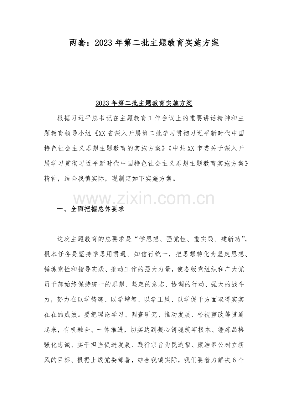 两套：2023年第二批主题教育实施方案.docx_第1页