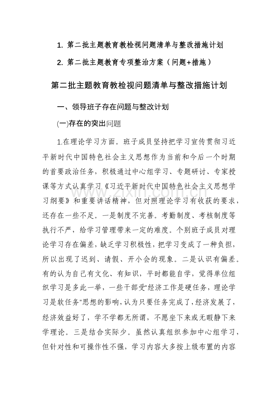第二批主题教育教检视问题清单与整改措施计划及专项整治方案（问题+措施）范文2篇.docx_第1页