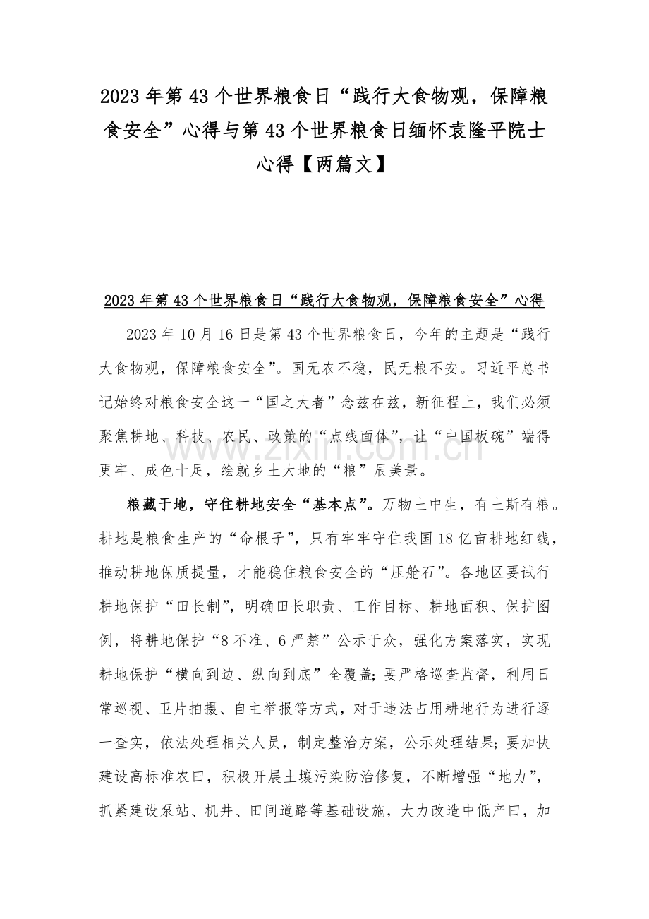 2023年第43个世界粮食日“践行大食物观保障粮食安全”心得与第43个世界粮食日缅怀袁隆平院士心得【两篇文】.docx_第1页