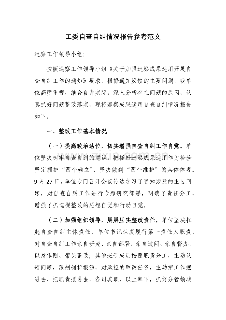 工委自查自纠情况报告参考范文.docx_第1页