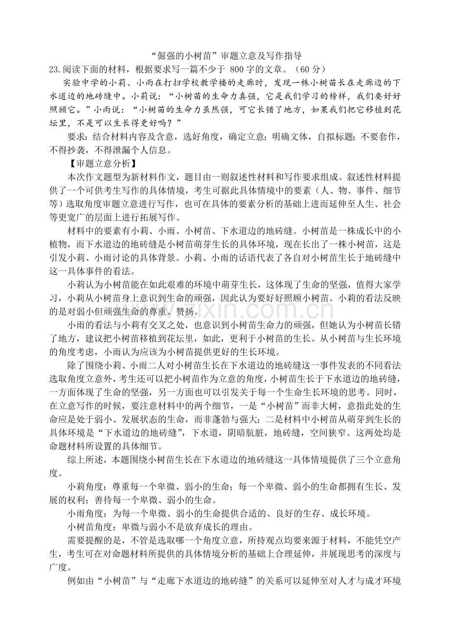 “倔强的小树苗”审题立意及写作指导.doc_第1页