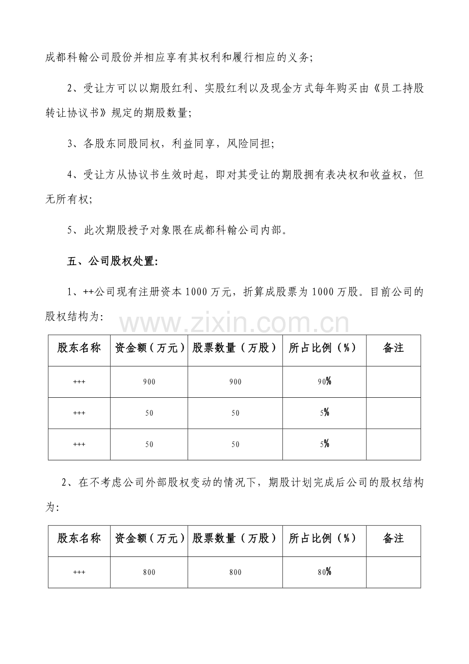 民营股份公司股权激励方案.docx_第2页