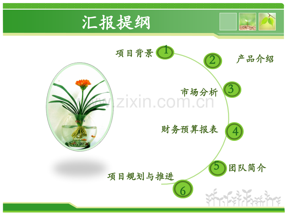 植物水培装置.ppt_第2页
