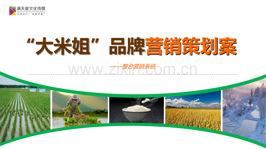 大米姐大米产品品牌营销策划案.ppt_第1页