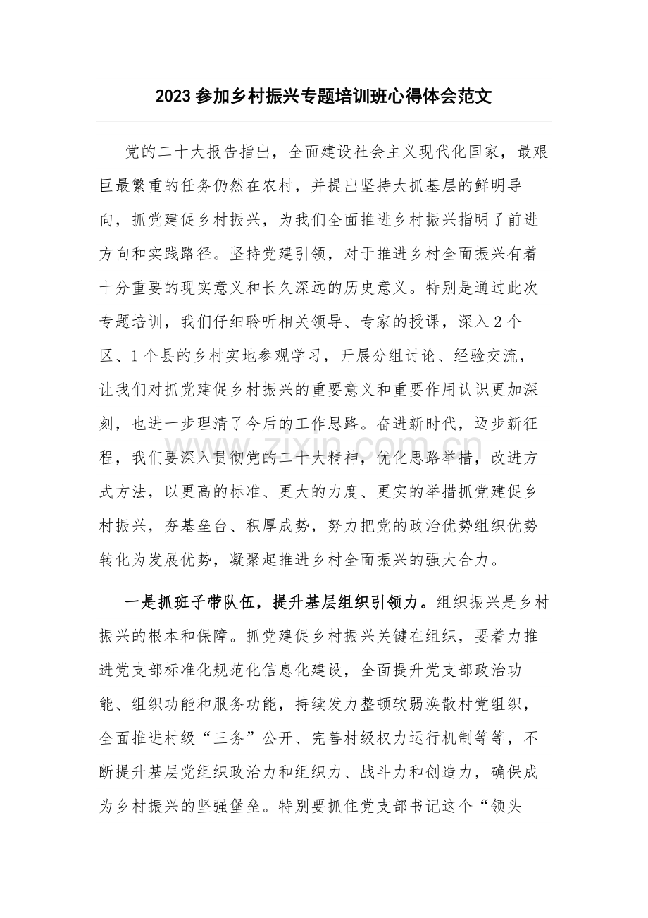 2023参加乡村振兴专题培训班心得体会范文.docx_第1页
