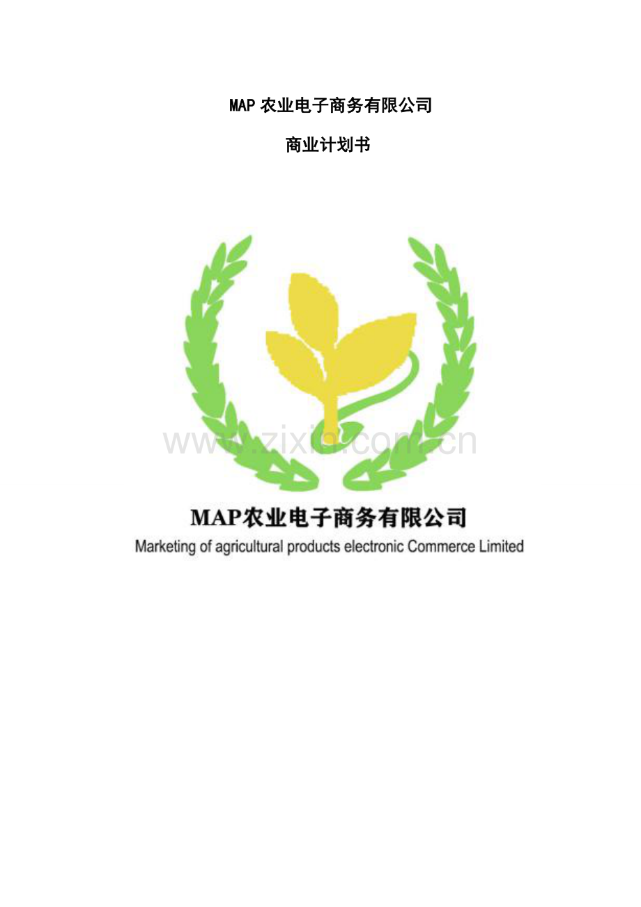 MAP农业电子商务有限公司_计划书.doc_第1页