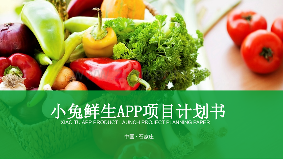 生鲜配送PPT-【项目计划书】.pptx_第1页