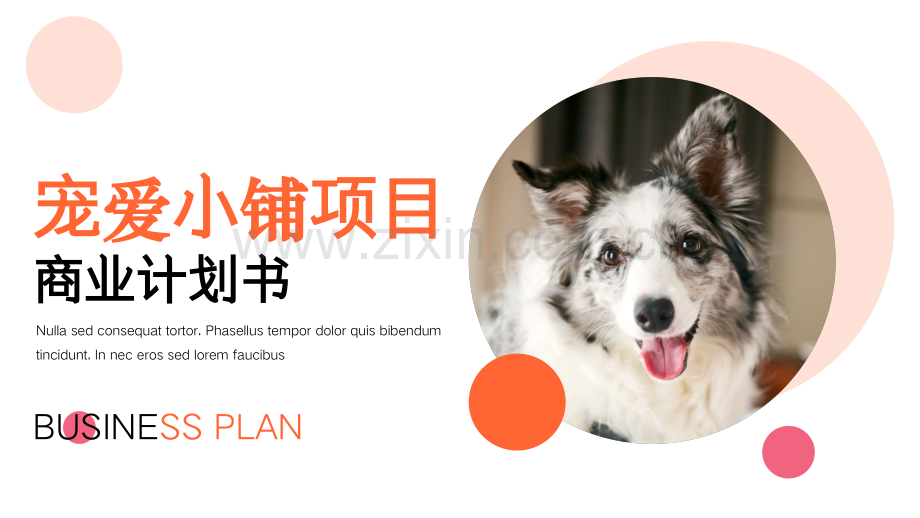 宠爱-【项目计划书】.pptx_第1页