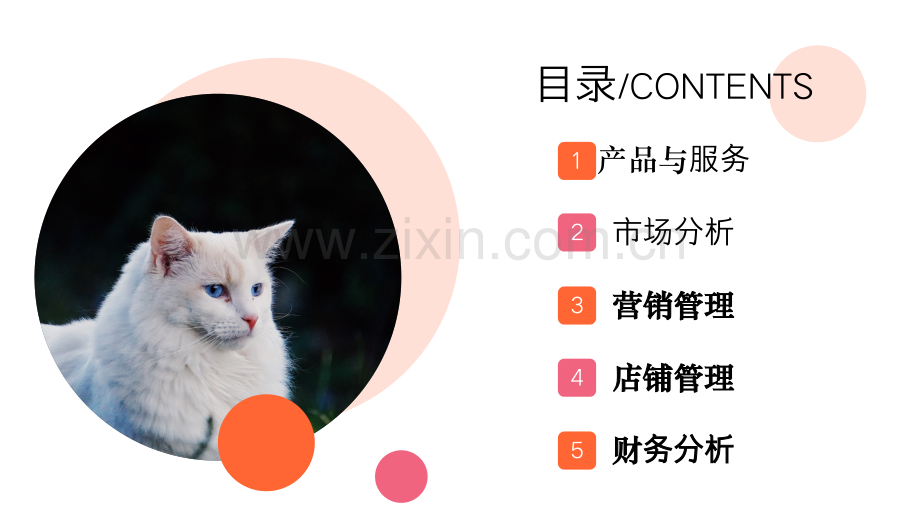 宠爱-【项目计划书】.pptx_第2页