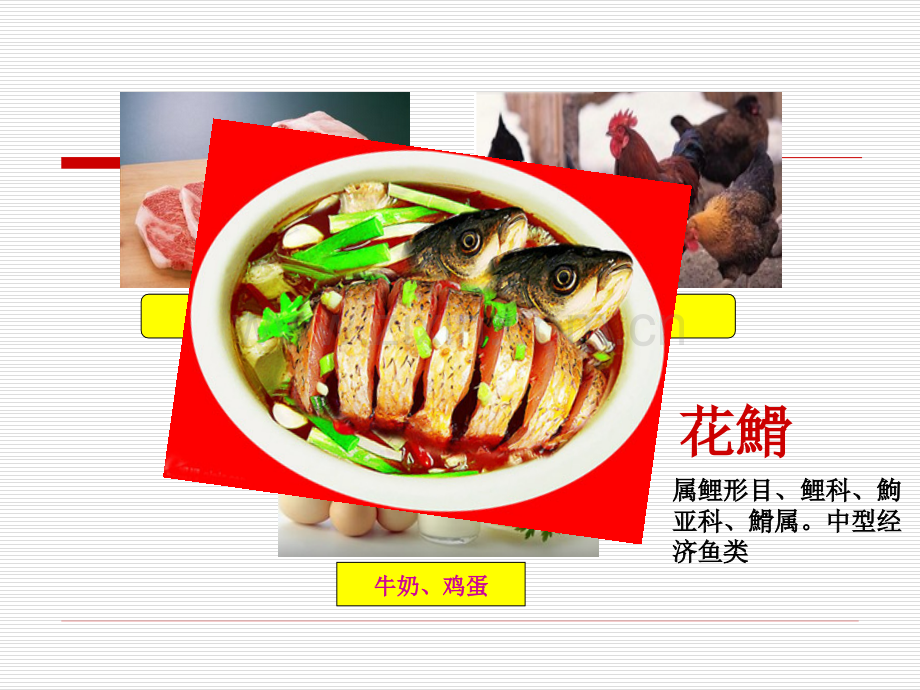 统筹花䱻人工繁殖的技术集成.ppt_第2页